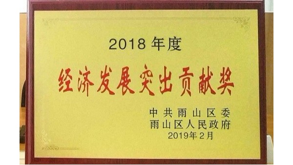 斯塔克榮獲2018年度經(jīng)濟發(fā)展突出貢獻獎（科技進(jìn)步推動(dòng)獎)